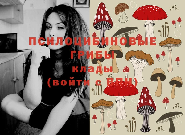 MESCALINE Богородицк