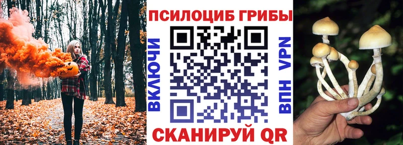 Галлюциногенные грибы GOLDEN TEACHER  где можно купить   Называевск 
