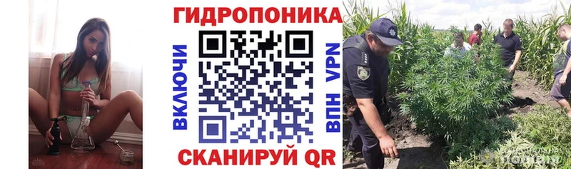 Марихуана ГИДРОПОН Называевск